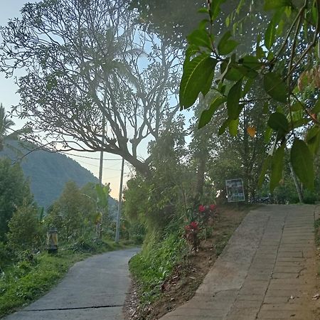 Jepun Homestay Lemukih Singaraja Exteriör bild