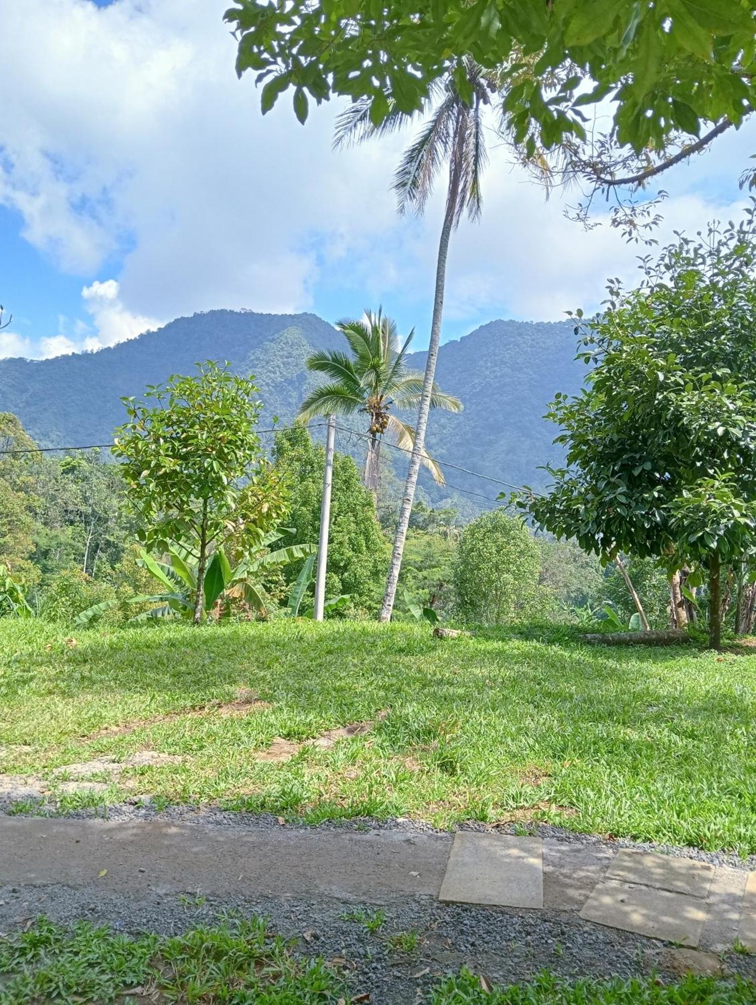 Jepun Homestay Lemukih Singaraja Exteriör bild
