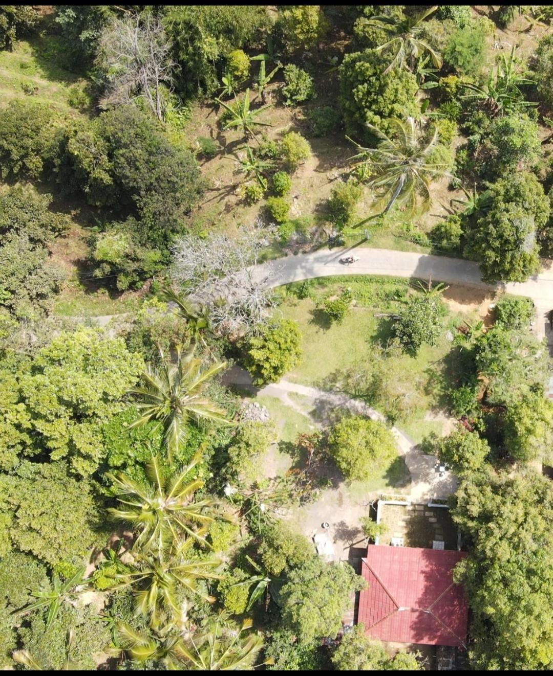 Jepun Homestay Lemukih Singaraja Exteriör bild