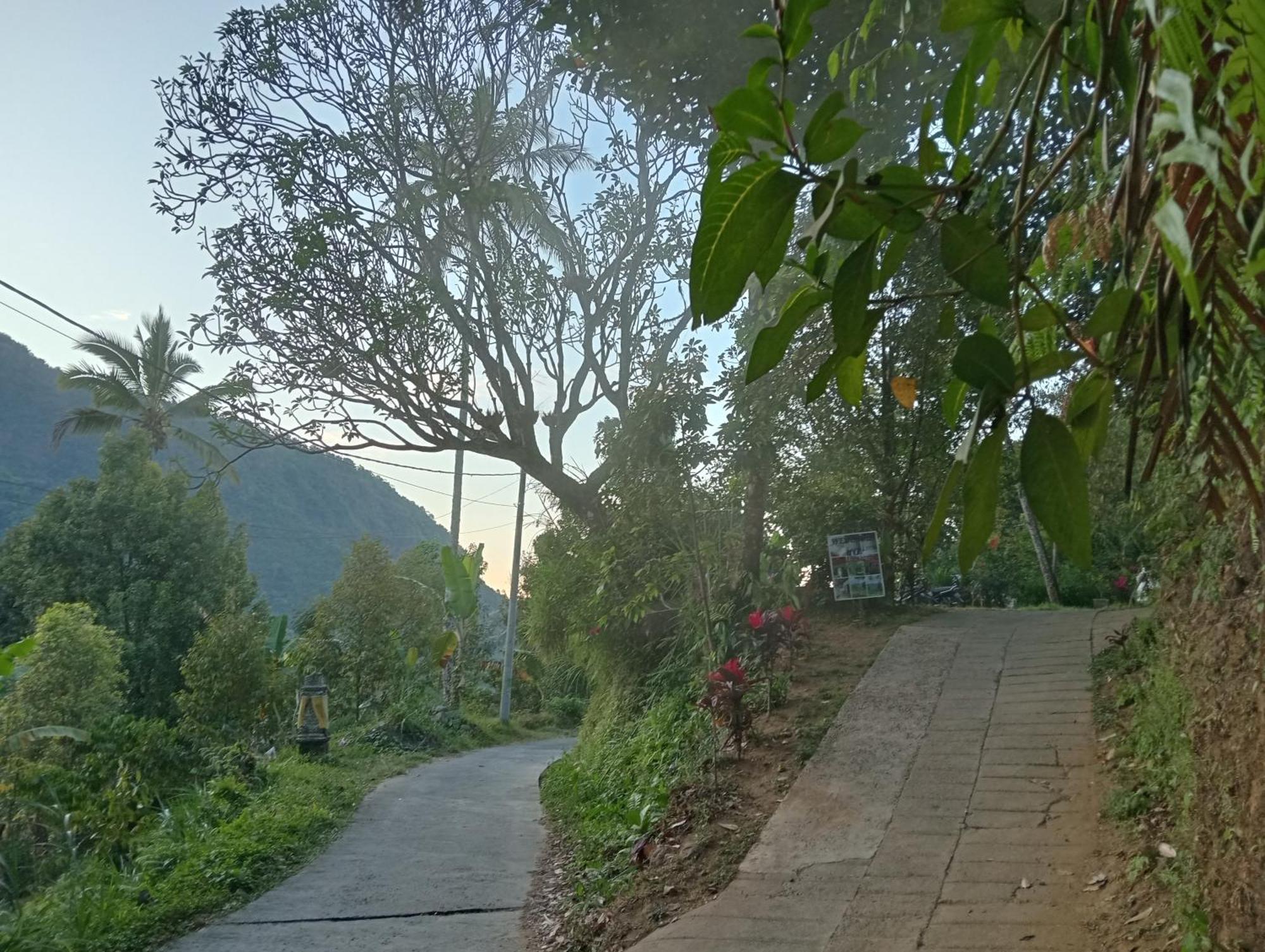 Jepun Homestay Lemukih Singaraja Exteriör bild