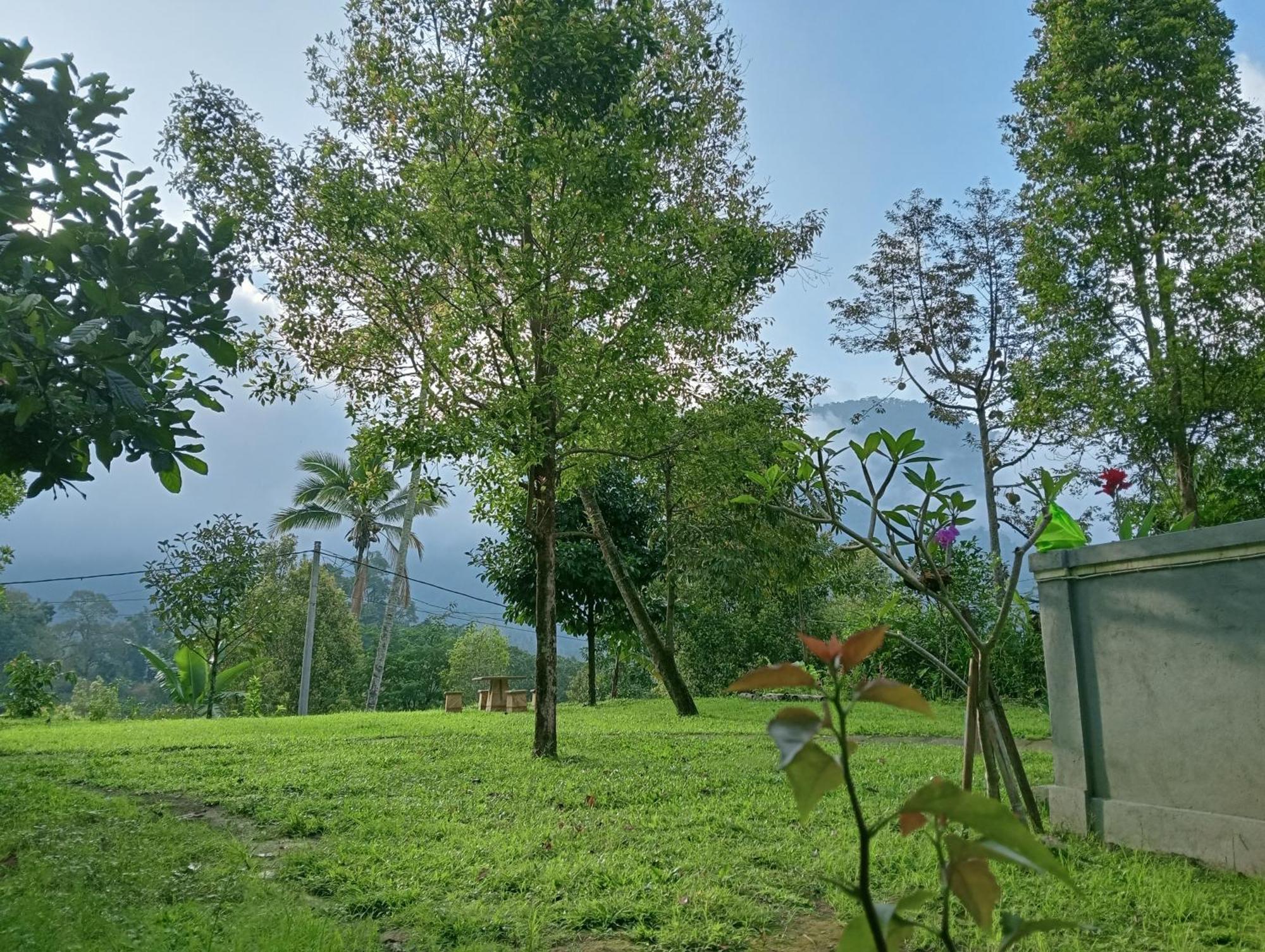 Jepun Homestay Lemukih Singaraja Exteriör bild