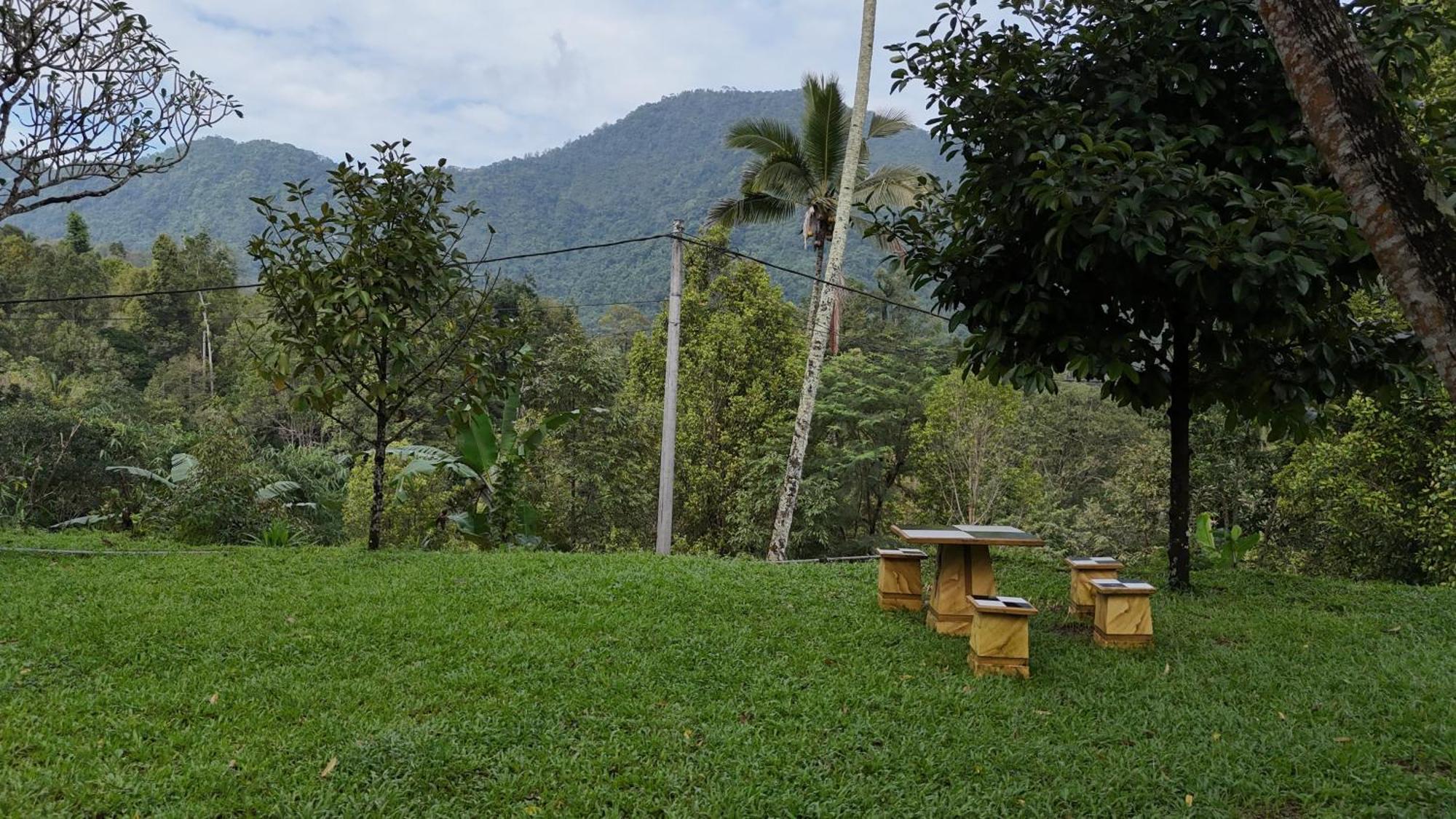 Jepun Homestay Lemukih Singaraja Exteriör bild