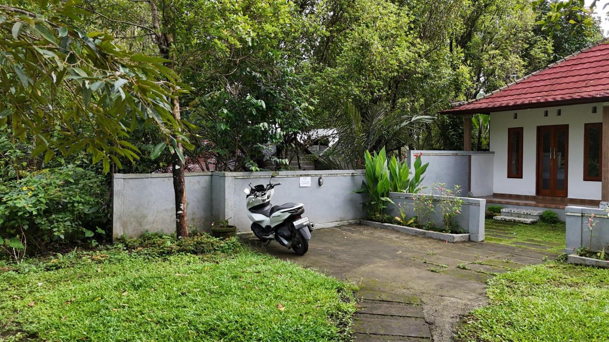 Jepun Homestay Lemukih Singaraja Exteriör bild